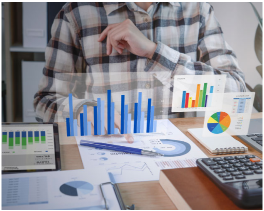 What is an Internal Audit?